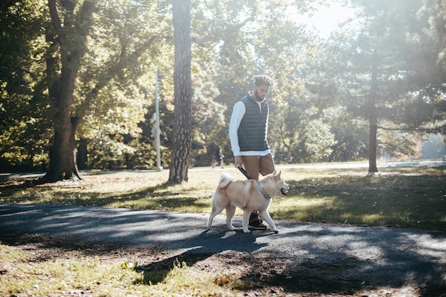 man%20walking%20his%20dog%20in%20neighborhood